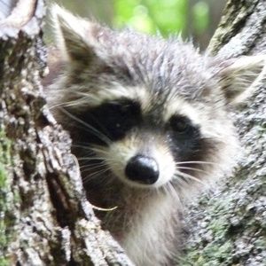 Meet your Posher, Patti